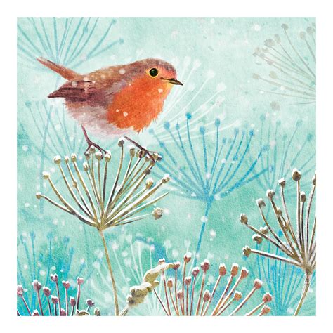 Amazon.co.uk: Rspb Christmas Cards.
